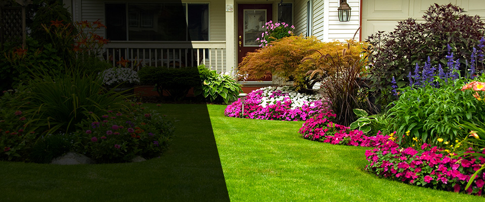 Alliance Landscapers