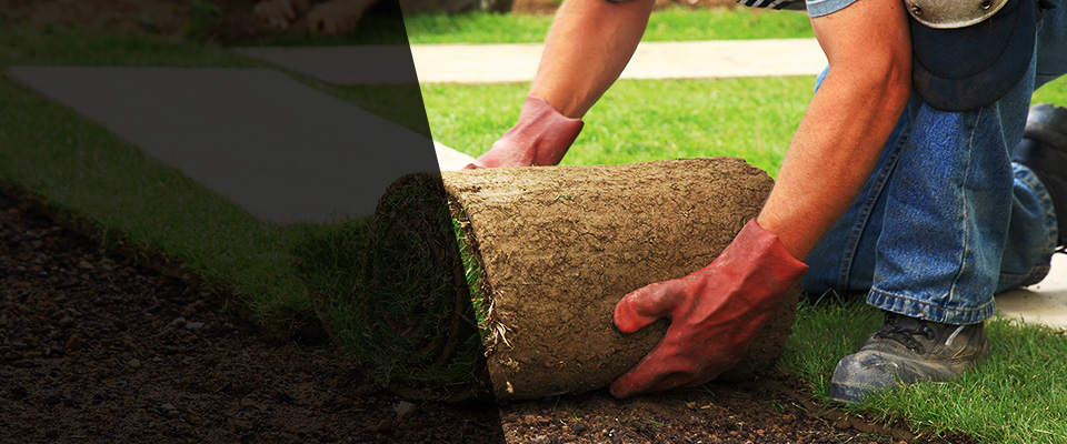 Alliance Landscapers